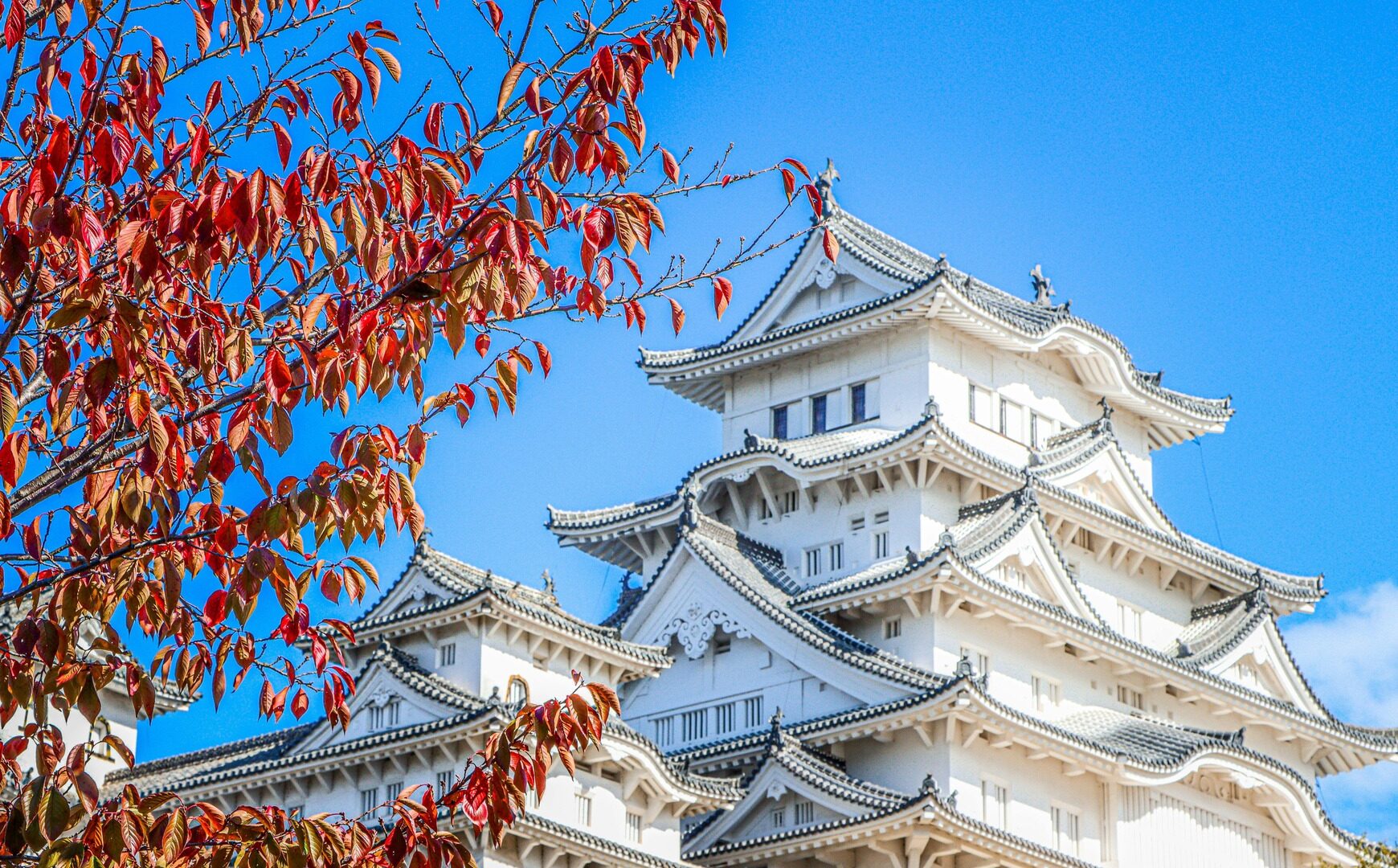 ジャズ喫茶の空間言語——戦後日本の音響美学と現代のリバイバル