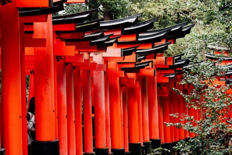 都市ガーデニング——屋上農園・シェア菜園が作る新しいコミュニティ